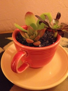 Fiestaware Planter www.DancingDishAndDecor.com