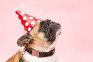 Best Party Tips