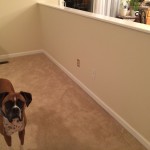 paint project, stencil, flat gloss paint effect